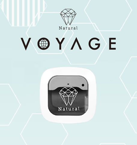 VOYAGE